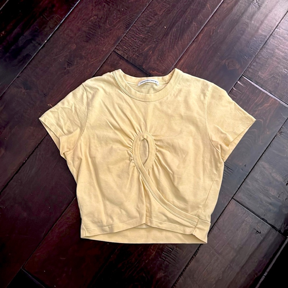 Alexander Wang  top